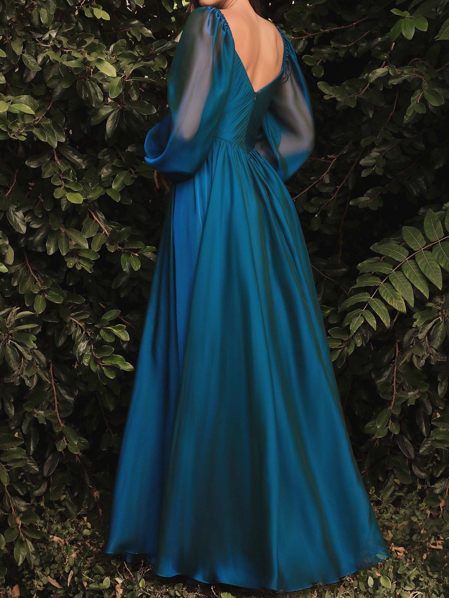 A-Line/Princess V-Neck Long Sleeves Back Zip Floor-length Prom Dress
