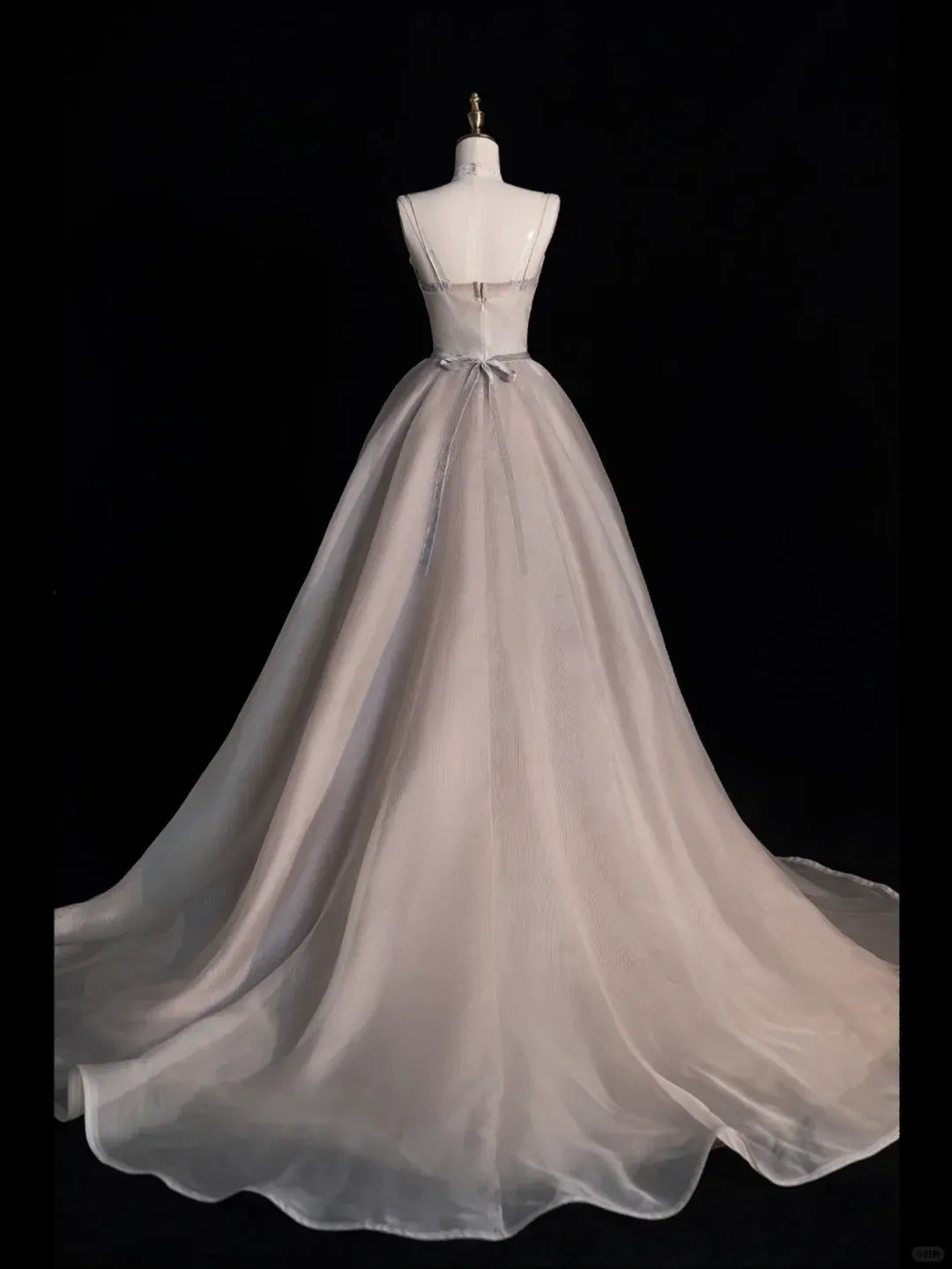 Champagne Organza Spaghetti Strap Ball Gown with Train