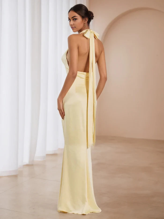 Elegant Mermaid Halter Neck Sleeveless Tie Back Floor Length Prom Dresses