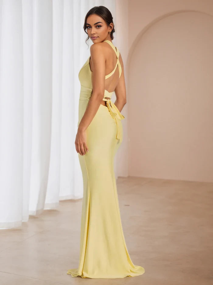 Elegant Mermaid Plunging V - Neck Sleeveless Tie Back Floor Length Prom Dresses