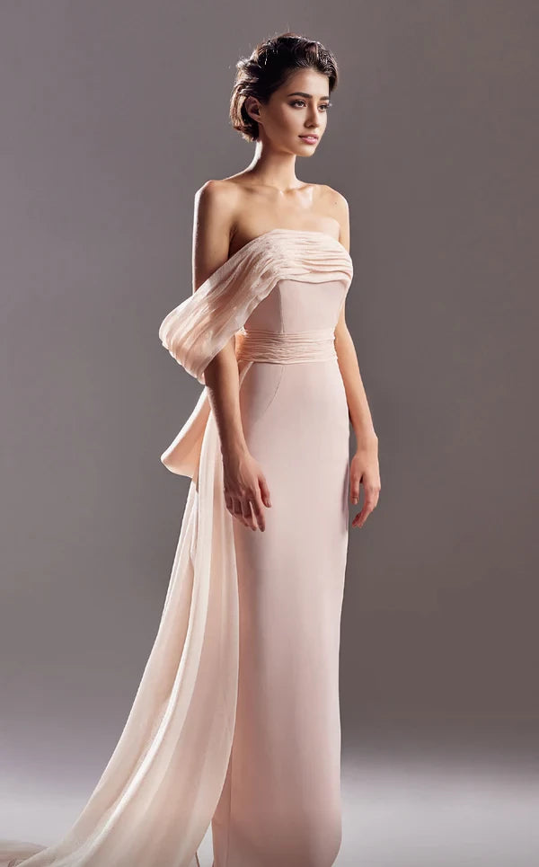 Elegant Column Strapless Sleeveless Back Zip Brush Train Evening Dress