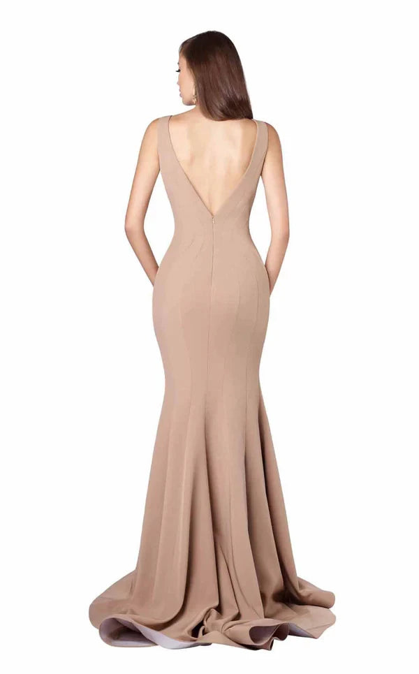Elegant Mermaid V Neck Spaghetti Straps Back Zip Brush Train Evening Dress