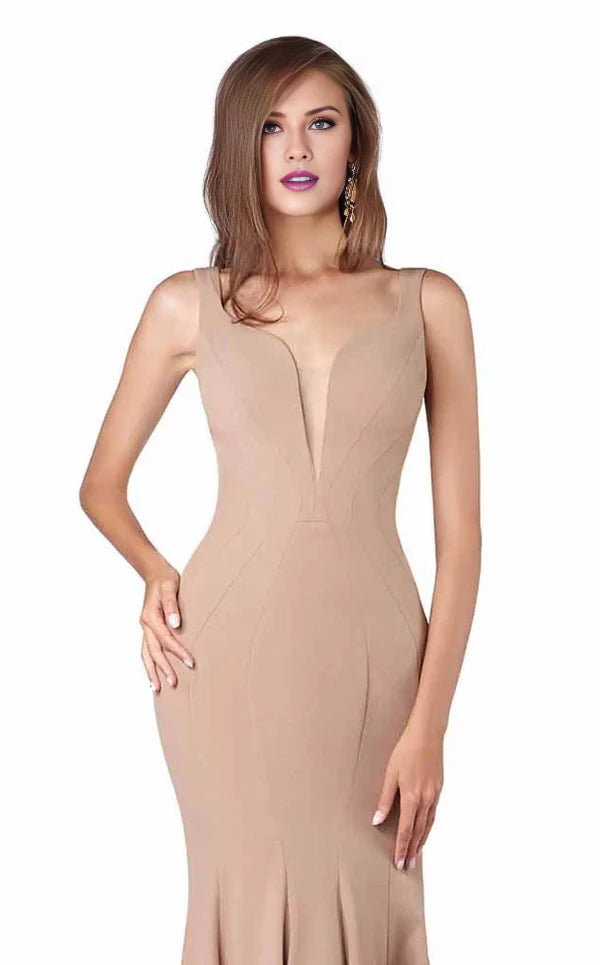 Elegant Mermaid V Neck Spaghetti Straps Back Zip Brush Train Evening Dress