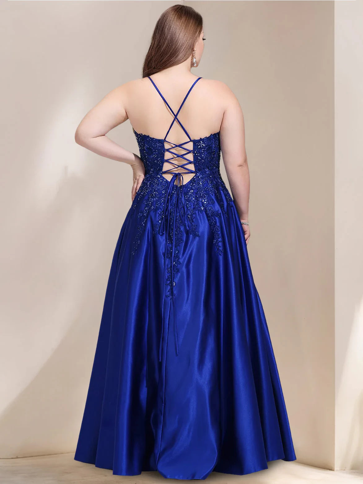 Plus Size Glamorous A - Line V - Neck Sleeveless Lace - Up Back Long Length Prom Dresses