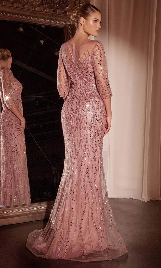 Glamorous Mermaid Bateau-Neck 3/4-Sleeve-Zip-Back Blush Beaded Tulle Floor-Length Mother of the Bride Dresses