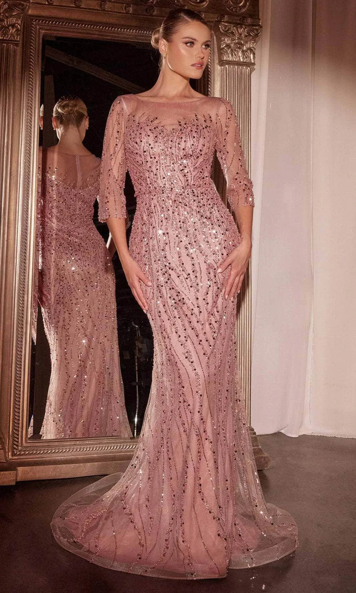 Glamorous Mermaid Bateau-Neck 3/4-Sleeve-Zip-Back Blush Beaded Tulle Floor-Length Mother of the Bride Dresses