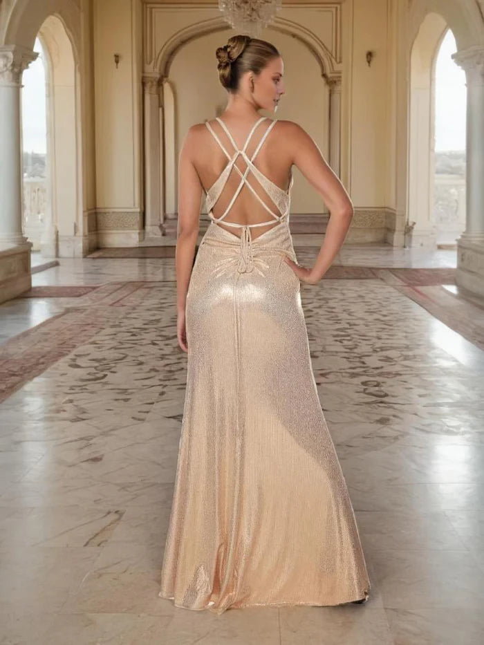 Glamorous Mermaid V - Neck Sleeveless Criss - Cross Back Long Length Prom Dresses