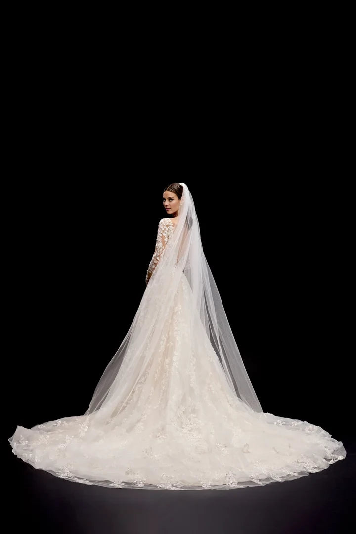 Long Sleeve A-Line Gown with Sheer Bodice and Deep V-Neckline Wedding Dresses