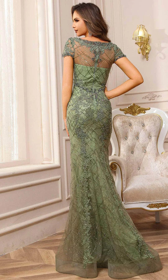 Luxurious Mermaid V-Neck Cap-Lace-Sleeve-Zip-Back Sage Tulle Beaded Floor-Length Mother of the Bride Dresses
