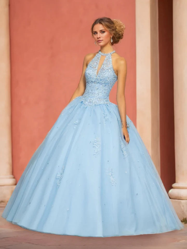 Romantic Ball Gown Halter Sleeveless Lace - Up Back Long Length Evening Dresses