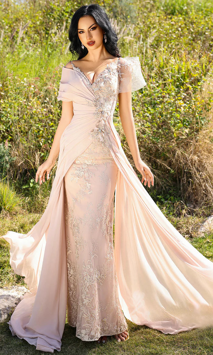 Romantic Mermaid V-Neck Sheer-Cap-Sleeve-Zip-Back Blush Lace & Chiffon Floor-Length Mother of the Bride Dresses