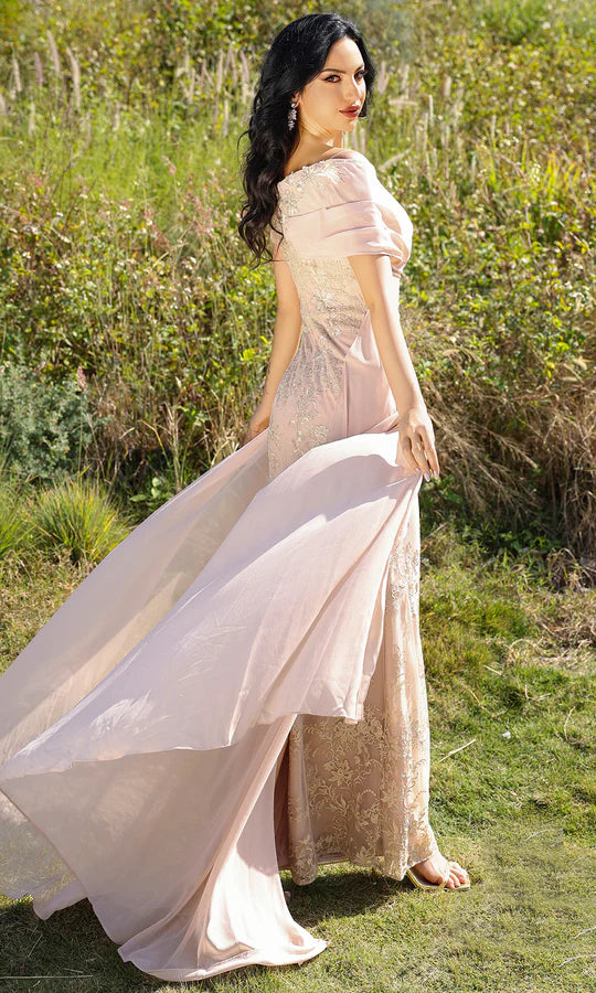 Romantic Mermaid V-Neck Sheer-Cap-Sleeve-Zip-Back Blush Lace & Chiffon Floor-Length Mother of the Bride Dresses