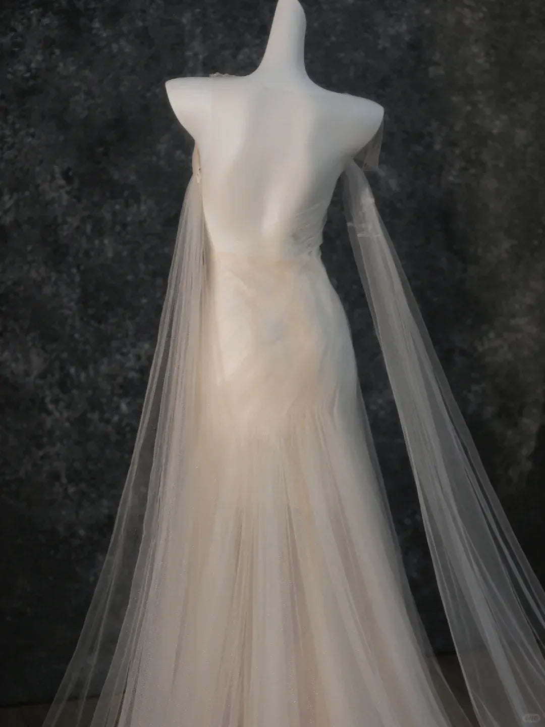 Sheer Neckline Mermaid Dress with Cape Sleeves & Trailing Train
