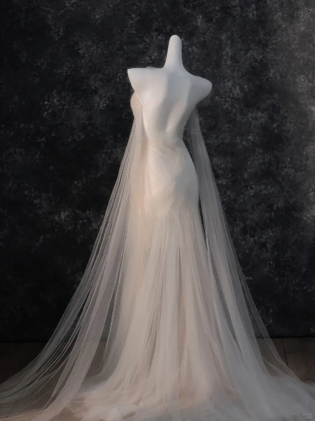 Sheer Neckline Mermaid Dress with Cape Sleeves & Trailing Train