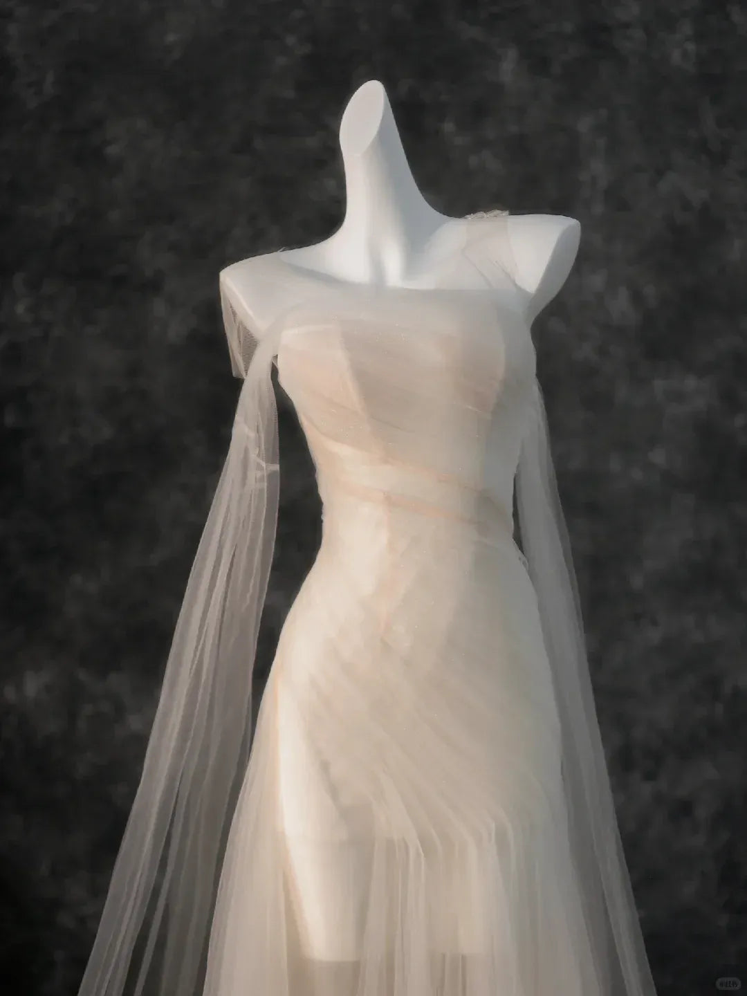 Sheer Neckline Mermaid Dress with Cape Sleeves & Trailing Train