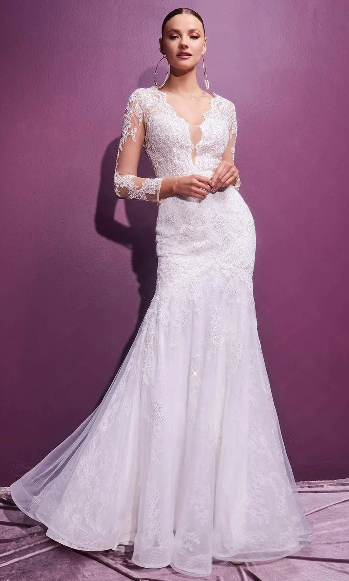 V-Nec Plunge Embroidered Long Sleeve Wedding Dresses